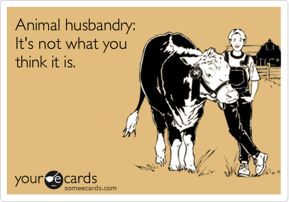 Animal husbandry:
It's not what you
think it is.