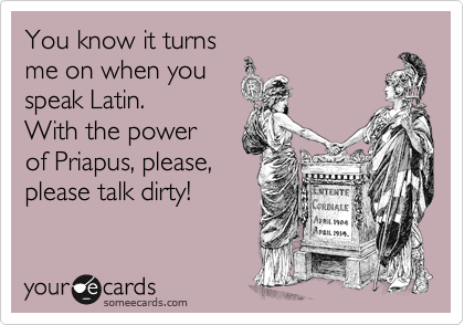You know it turns 
me on when you 
speak Latin.
With the power
of Priapus, please,
please talk dirty!