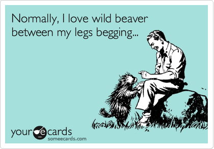Normally, I love wild beaver between my legs begging...