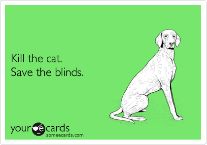 


Kill the cat.
Save the blinds.