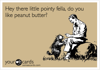 Hey there little pointy fella, do you like peanut butter?