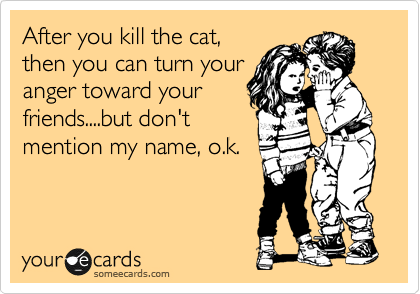 After you kill the cat,
then you can turn your
anger toward your 
friends....but don't
mention my name, o.k.