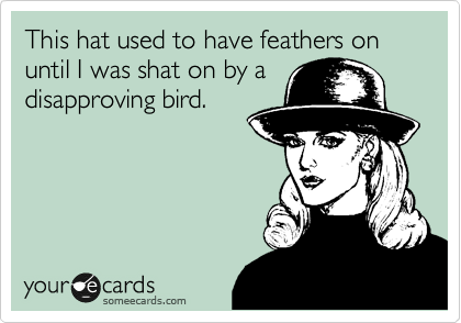 This hat used to have feathers on until I was shat on by a
disapproving bird.