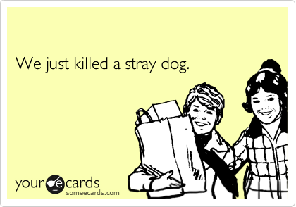 

We just killed a stray dog.