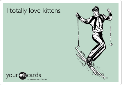 I totally love kittens.