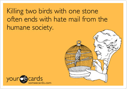 Killing two birds with one stone often ends with hate mail from the humane society. 