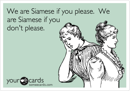 We are Siamese if you please.  We are Siamese if you
don't please.