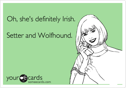 
Oh, she's definitely Irish.

Setter and Wolfhound.