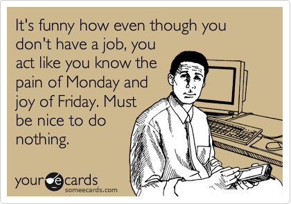 It's funny how even though you don't have a job, you
act like you know the
pain of Monday and
joy of Friday. Must
be nice to do
nothing.