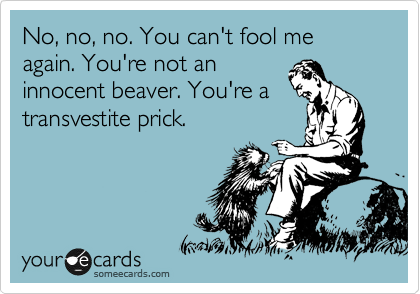 No, no, no. You can't fool me again. You're not an
innocent beaver. You're a
transvestite prick. 