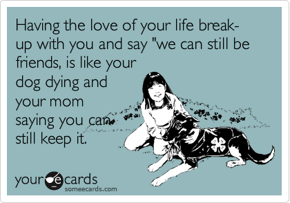 Having the love of your life break-up with you and say "we can still be friends, is like your
dog dying and
your mom
saying you can
still keep it.