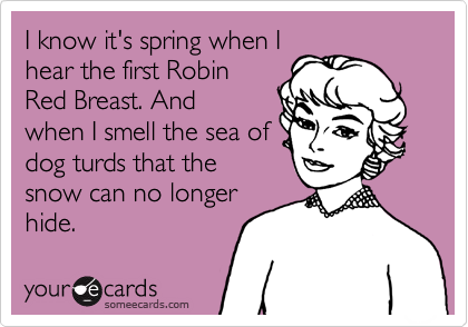I know it's spring when I
hear the first Robin
Red Breast. And
when I smell the sea of
dog turds that the
snow can no longer
hide. 