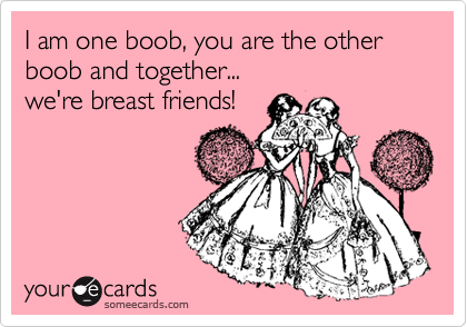 I am one boob, you are the other boob and together...
we're breast friends!