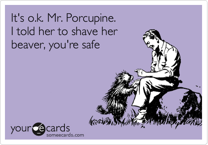 It's o.k. Mr. Porcupine.
I told her to shave her
beaver, you're safe