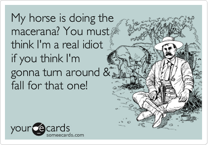 My horse is doing the
macerana? You must
think I'm a real idiot
if you think I'm
gonna turn around &
fall for that one!