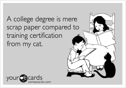 
A college degree is mere
scrap paper compared to
training certification
from my cat.