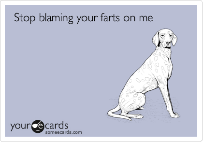  Stop blaming your farts on me