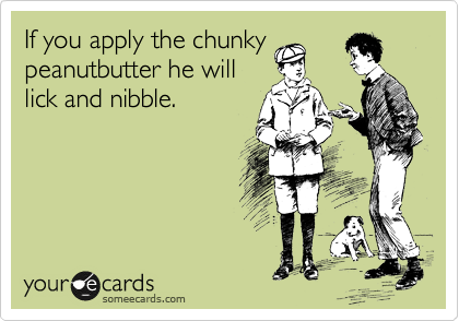 If you apply the chunky
peanutbutter he will
lick and nibble.