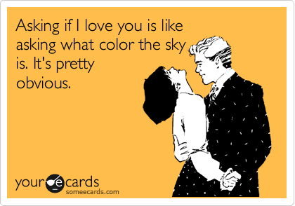 Asking if I love you is like
asking what color the sky
is. It's pretty
obvious. 