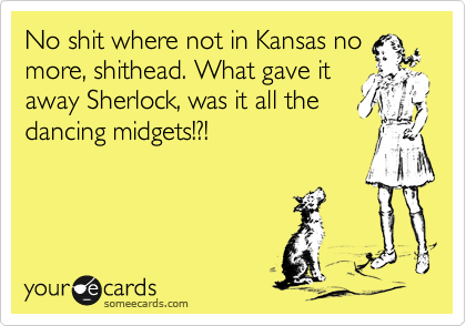 No shit where not in Kansas no
more, shithead. What gave it
away Sherlock, was it all the
dancing midgets!?!