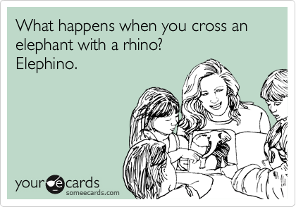 What happens when you cross an elephant with a rhino? 
Elephino.