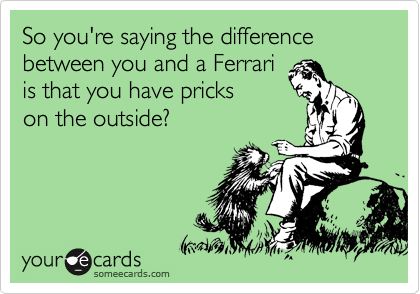 So you're saying the difference between you and a Ferrari
is that you have pricks
on the outside?