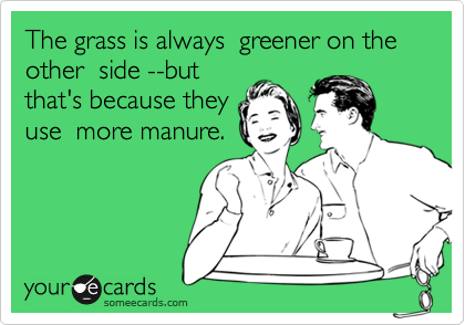 The Grass Is Greener on the Other Side: What Does It Mean?