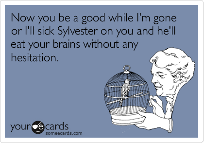 Now you be a good while I'm gone or I'll sick Sylvester on you and he'll eat your brains without any
hesitation.