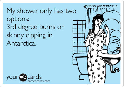 My shower only has two
options:
3rd degree burns or
skinny dipping in 
Antarctica.