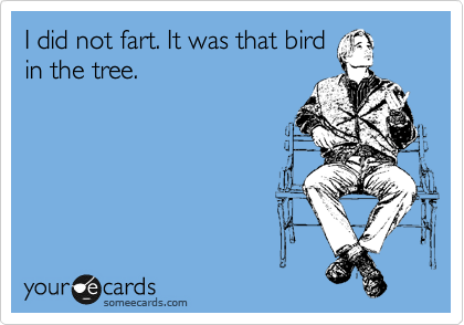 I did not fart. It was that bird
in the tree.