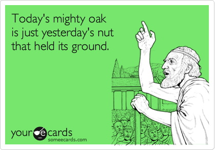 Today's mighty oak
is just yesterday's nut
that held its ground.
