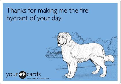 Thanks for making me the fire hydrant of your day.