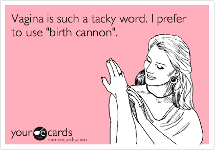 Vagina is such a tacky word. I prefer to use "birth cannon".