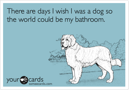 There are days I wish I was a dog so the world could be my bathroom.