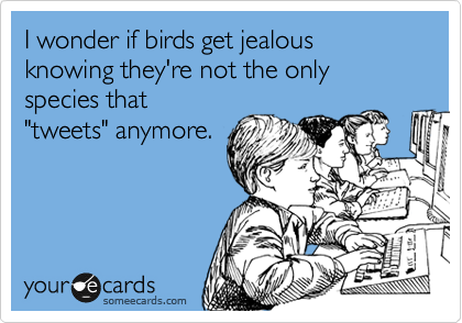 I wonder if birds get jealous knowing they're not the only species that
"tweets" anymore.