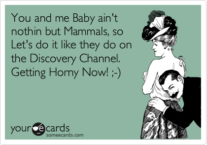 You and me Baby ain't
nothin but Mammals, so
Let's do it like they do on
the Discovery Channel.
Getting Horny Now! ;-%29