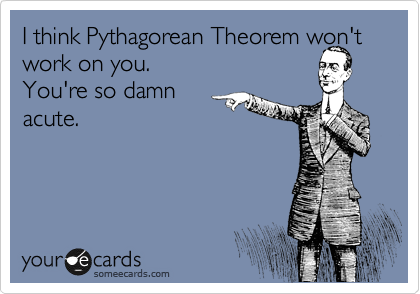I think Pythagorean Theorem won't work on you.
You're so damn
acute.