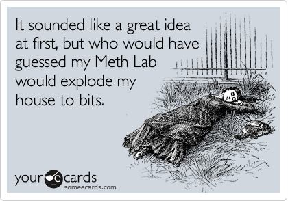 It sounded like a great idea
at first, but who would have
guessed my Meth Lab
would explode my
house to bits.