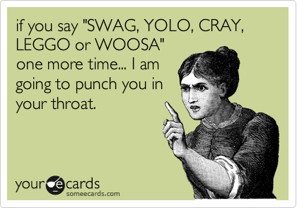if you say "SWAG, YOLO, CRAY, LEGGO or WOOSA"
one more time... I am
going to punch you in
your throat.