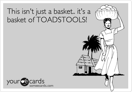 This isn't just a basket.. it's a
basket of TOADSTOOLS!