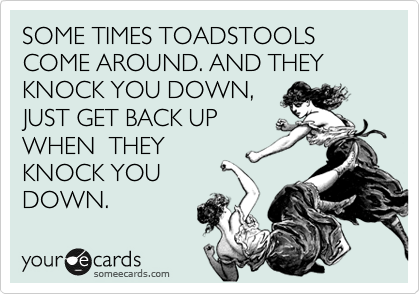 SOME TIMES TOADSTOOLS COME AROUND. AND THEY KNOCK YOU DOWN,
JUST GET BACK UP
WHEN  THEY
KNOCK YOU
DOWN. 