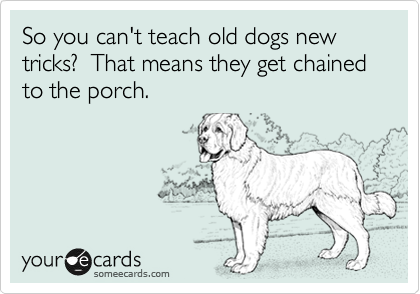 So you can't teach old dogs new tricks?  That means they get chained to the porch.