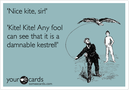 'Nice kite, sir!'

'Kite! Kite! Any fool
can see that it is a
damnable kestrel!'