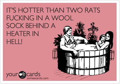 It S Hotter Than Two Rats Fucking In A Wool Sock Behind A Heater In Hell Independence Day Ecard