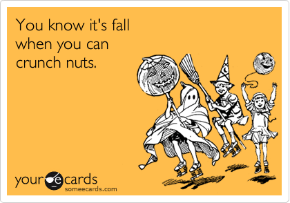 You know it's fall
when you can
crunch nuts.