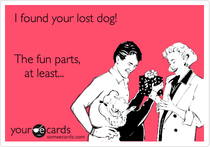  I found your lost dog!


 The fun parts,
    at least...