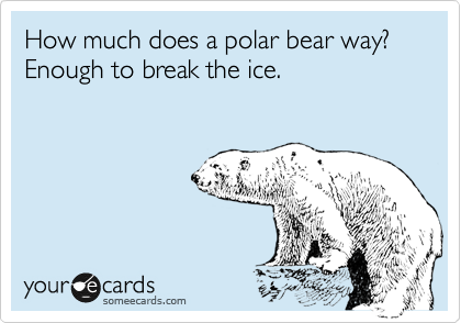 How much does a polar bear way? Enough to break the ice.