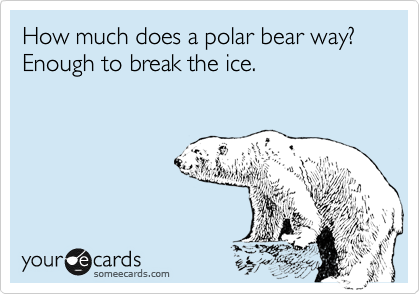 polar bear puns