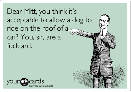 Dear Mitt, you think it's
acceptable to allow a dog to
ride on the roof of a
car? You, sir, are a
fucktard. 