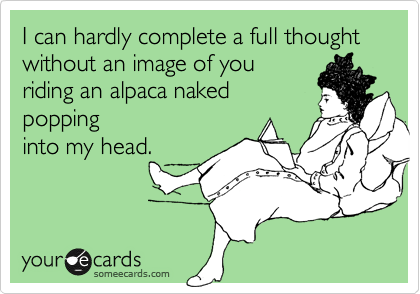 I can hardly complete a full thought without an image of you
riding an alpaca naked 
popping
into my head. 